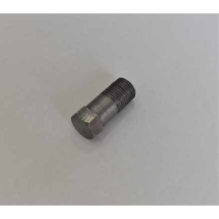 Alsó csavar első villa csővéghez, M10/1x20mm, kulcsnyílás: 11mm, nem felületkezelt burkolat, Jawa, ČZ